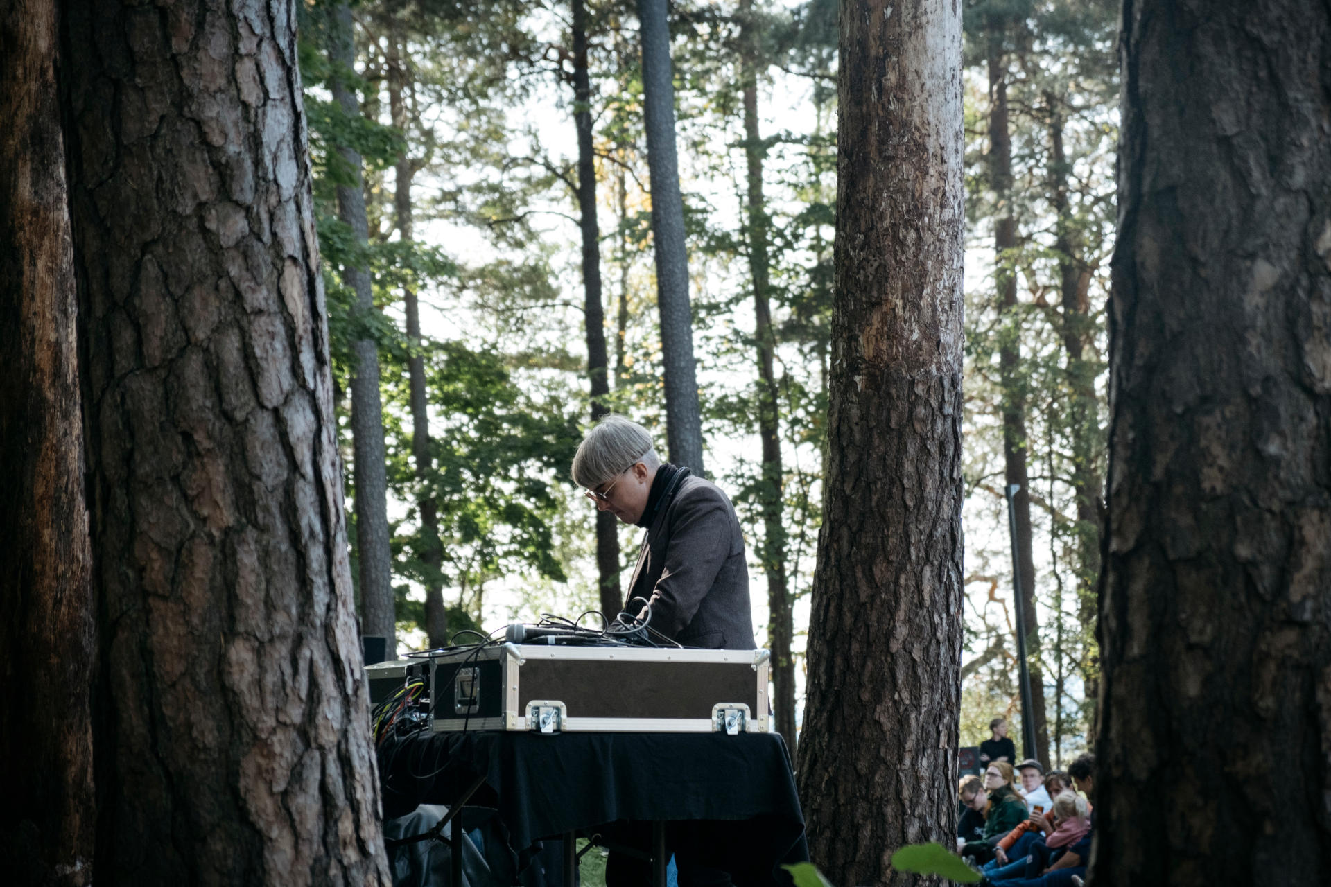 Live diffusion in the forests in Ekeberg