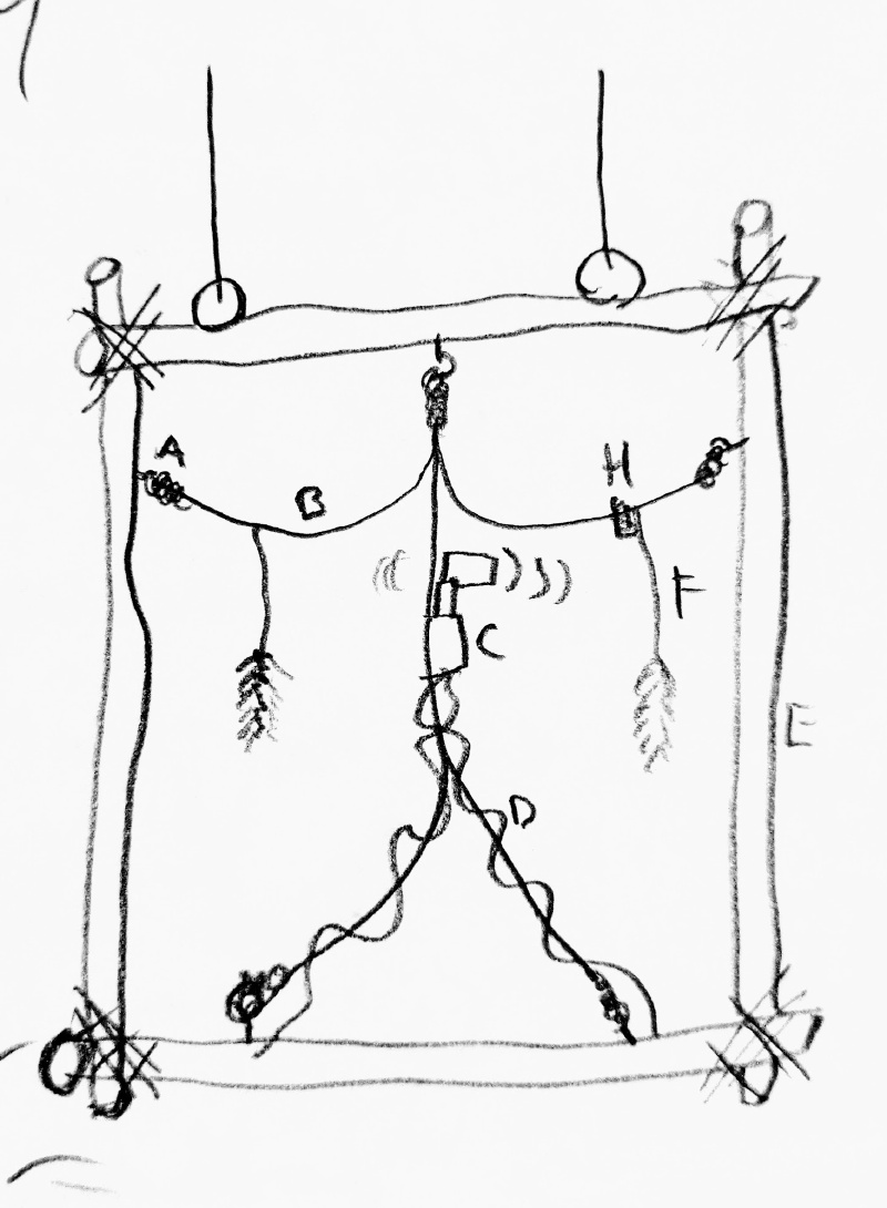 Cover image for Haptic Fields