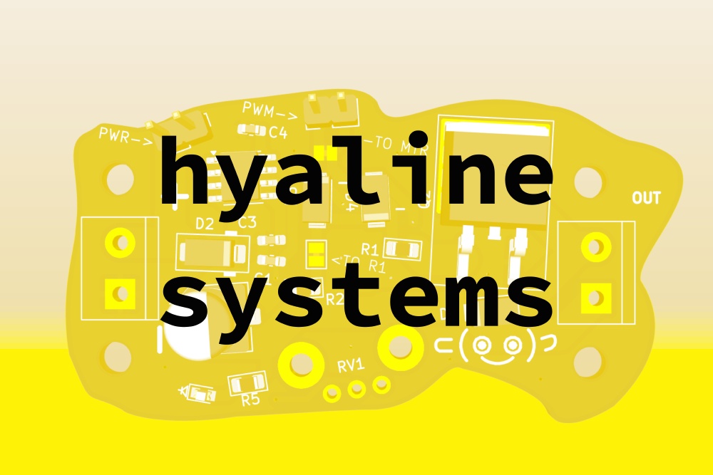 Cover image for Hyaline Systems