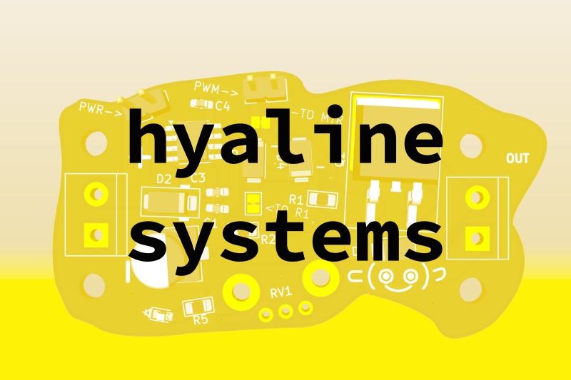 Cover image for Hyaline Systems